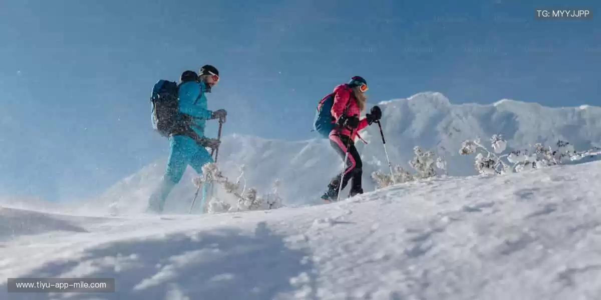 🏀 巅峰之战，不容错过！全球赛事同步直播，零时差感受速度与激情！